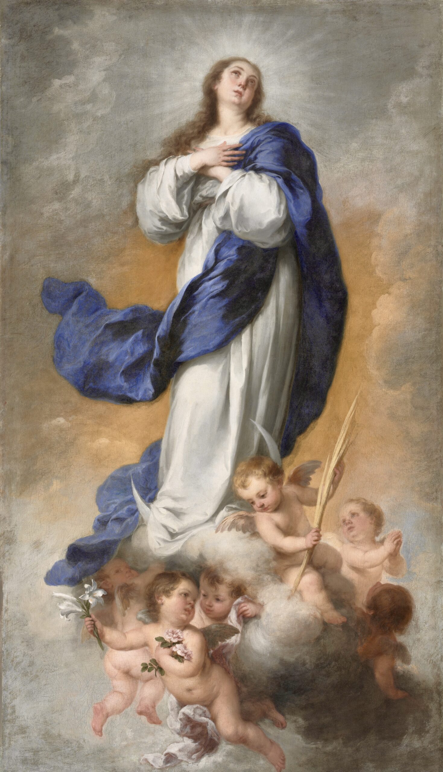 Immaculate Conception Immaculate Conception