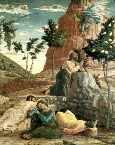 Sacred Liturgy Conference