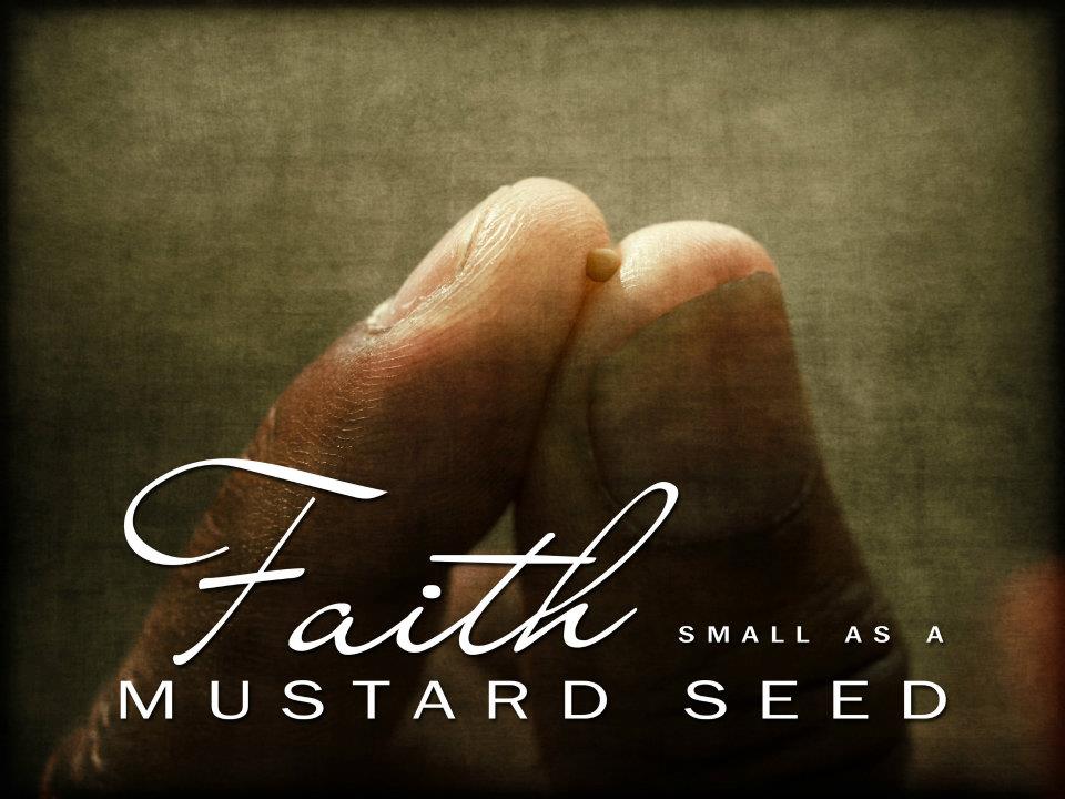 Faith the Size of a Mustard Seed